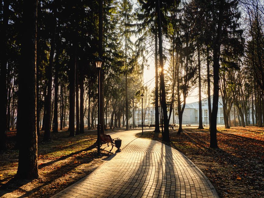 A tranquil park scene with a paved pathway, benches, and morning sunlight filtering through the trees.